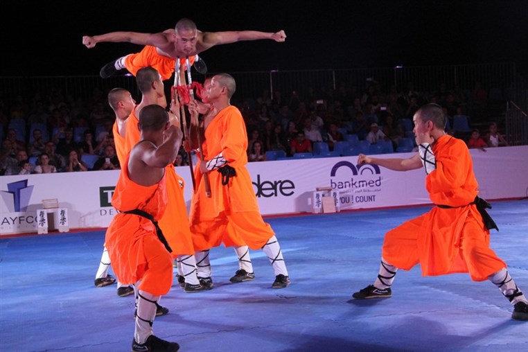 Martial Arts Festival